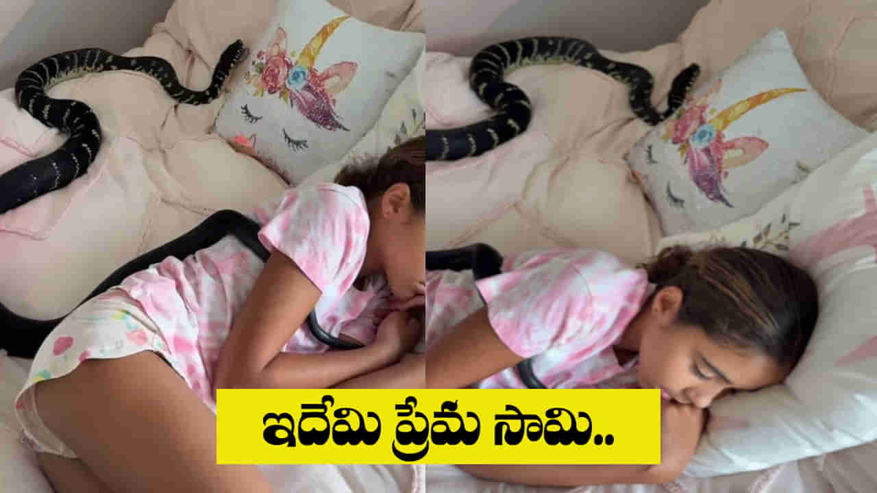 Viral Video: కూతురి మంచం మీద నల్ల తాచు బుసలు.. వీడియో తీస్తున్న తల్లిదండ్రులు
