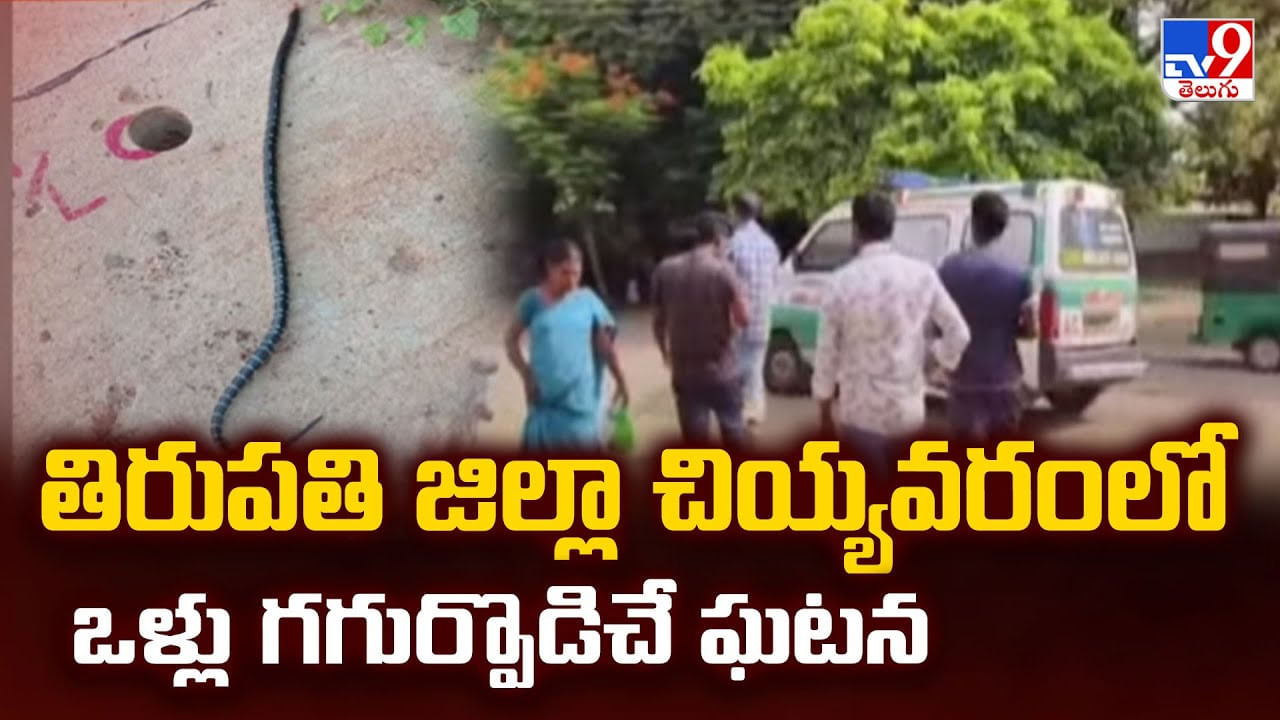 తిరుపతి జిల్లా చియ్యవరంలో ఒళ్లు గగుర్పొడిచే ఘటన