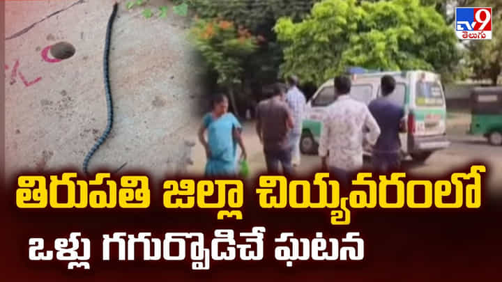 తిరుపతి జిల్లా చియ్యవరంలో ఒళ్లు గగుర్పొడిచే ఘటన తిరుపతి జిల్లా చియ్యవరంలో ఒళ్లు గగుర్పొడిచే ఘటన