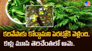 పదేళ్లుగా పచ్చి ఆకులే అతని ఆహారం. మరి అతడి ఆరోగ్యం పరిస్థితి ఏమిటి?