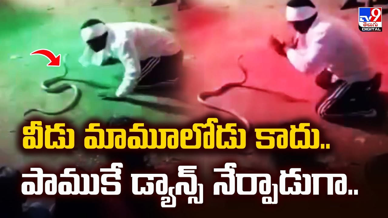 వీడు మామూలోడు కాదు.. పాముకే డ్యాన్స్‌ నేర్పాడుగా