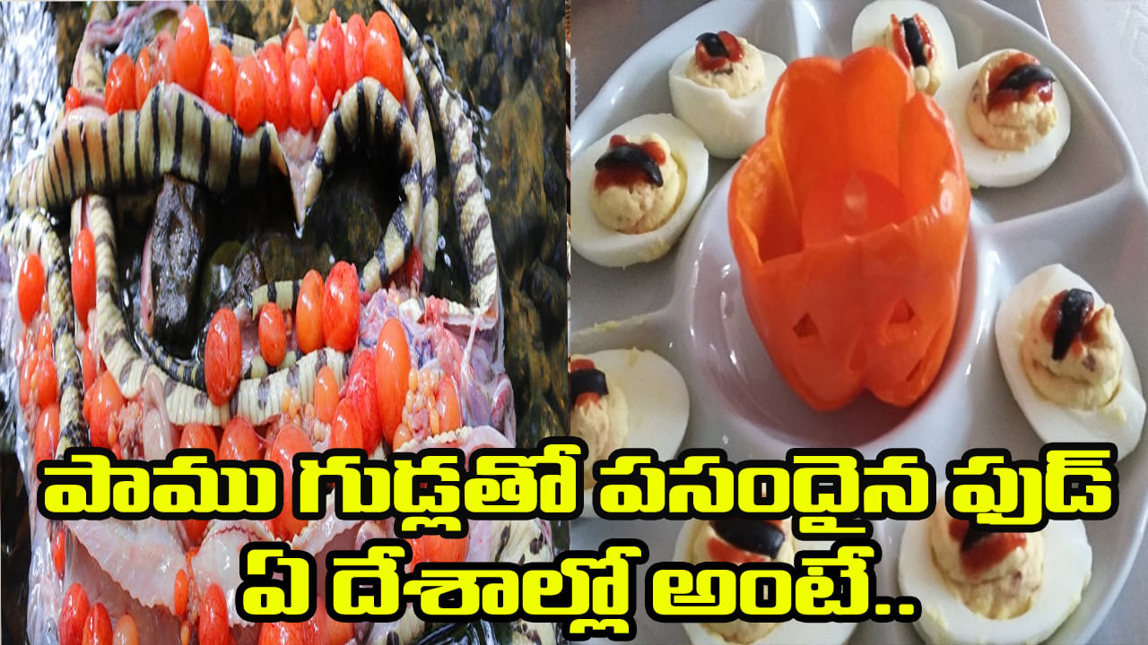 Snake Egg Food: పాము గుడ్లతో చేసిన ఫుడ్ వారికి పసందైన విందు.. ఏ దేశాలవారు తింటారంటే