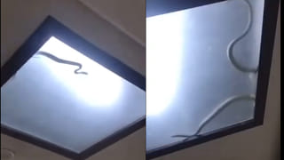 సంకల్పం ఉంటే వర్షం ఏమి చేస్తుంది? వానలో హనుమాన్ చాలీసాకి భరత నాట్యం చేసిన యువతులు..