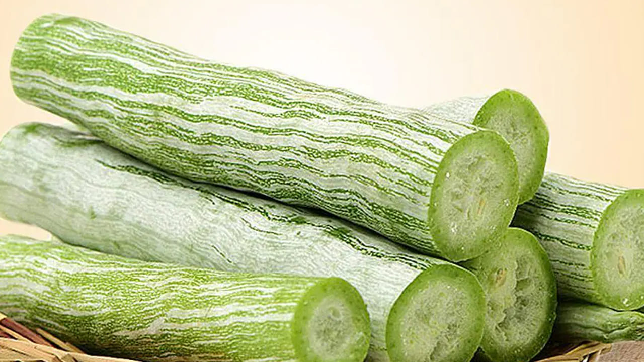 Snake Guard In Plate