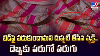 ఇళ్లకు తలుపులే లేని గ్రామం.. మరి దొంగలు పడితే..?