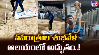 నవరాత్రుల శుభవేళ ఆలయంలో అద్భుతం