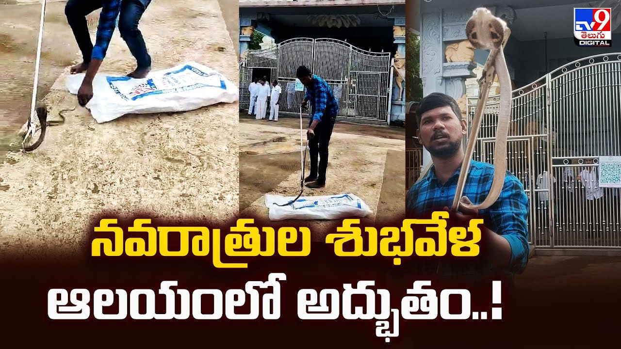 నవరాత్రుల శుభవేళ ఆలయంలో అద్భుతం