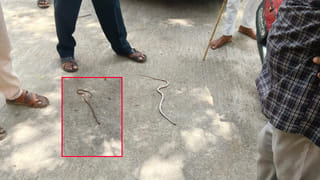 గణేశ్‌ నిమజ్జనానికి డీజే సౌండ్స్‌తో ఊరేగింపు.. గుండెపోటుతో యువకుడు మృతి!