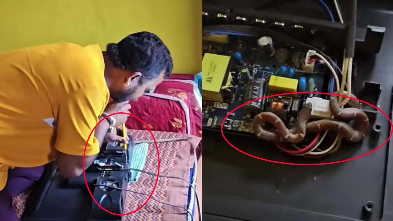 Viral Video: ఇంట్లోని LED టీవీ లోపల నుంచి అదే పనిగా శబ్దాలు.. ఏంటా అని విప్పతీసి చూడగా