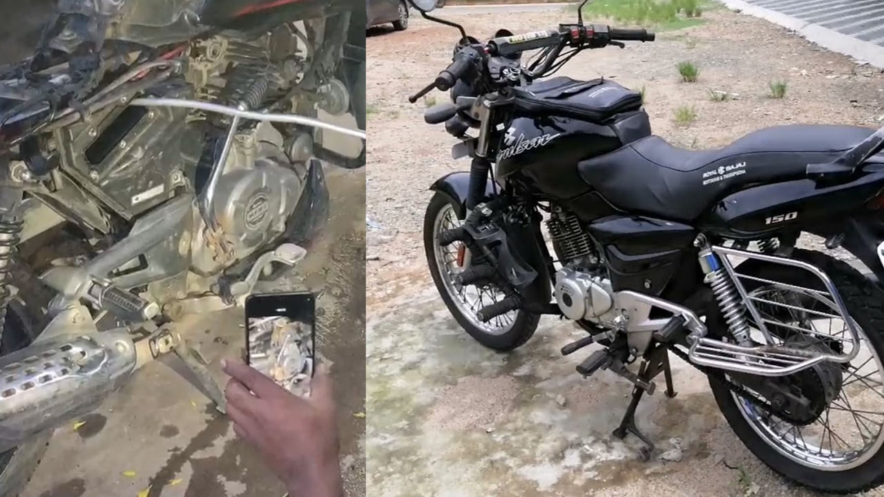 బైక్‌లో వింత శబ్ధాలు.. ప్రాణం పోయినంత పనైంది.. ఏంటా అని చూడగా.. బాబోయ్.!