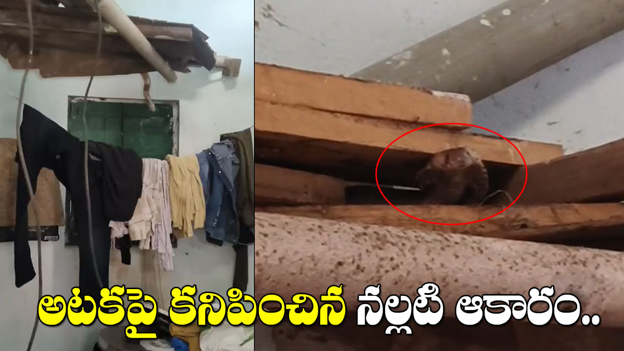 Telangana: అటకపై నుంచి వింత శబ్దాలు.. కంగారుగా సామాన్లు ఒక్కొక్కటి తీసి చూడగా.. వామ్మో.!