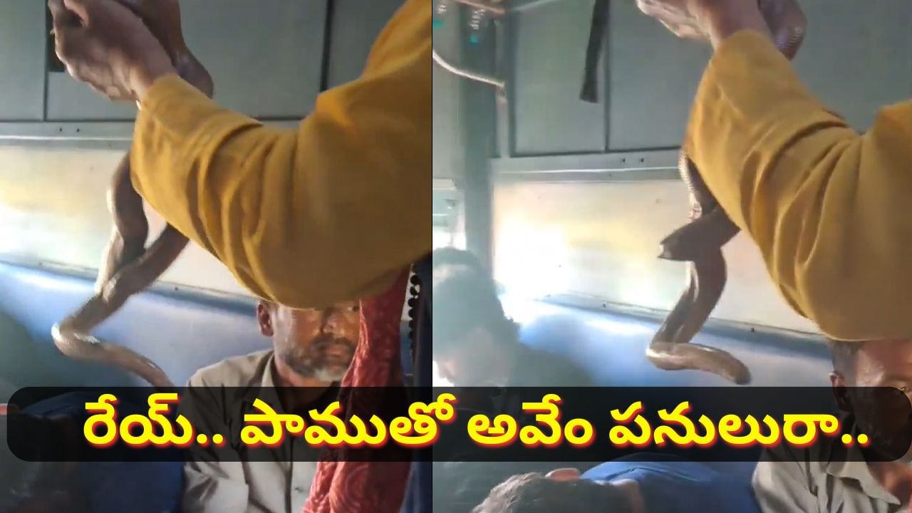 Watch Video: రేయ్ పాముతో అవేం పనులురా.. ఈ వ్యక్తి ఏం చేస్తున్నాడో తెలిస్తే.. ఫ్యూజులు ఎగరాల్సిందే