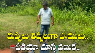 Andhra: ఆ నెయ్యి తిన్నారో.. పోయారే.! చూసి అధికారులకే గుండె ఆగినంత పని అయింది