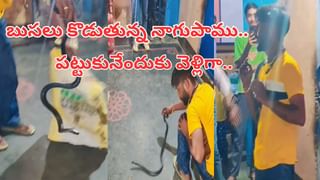 Watch Video: గర్బా డ్యాన్స్‌ చేస్తుండగా సడెన్‌ ఎంట్రీ.. అంతలోనే ఓ యువతిని పట్టుకుని..