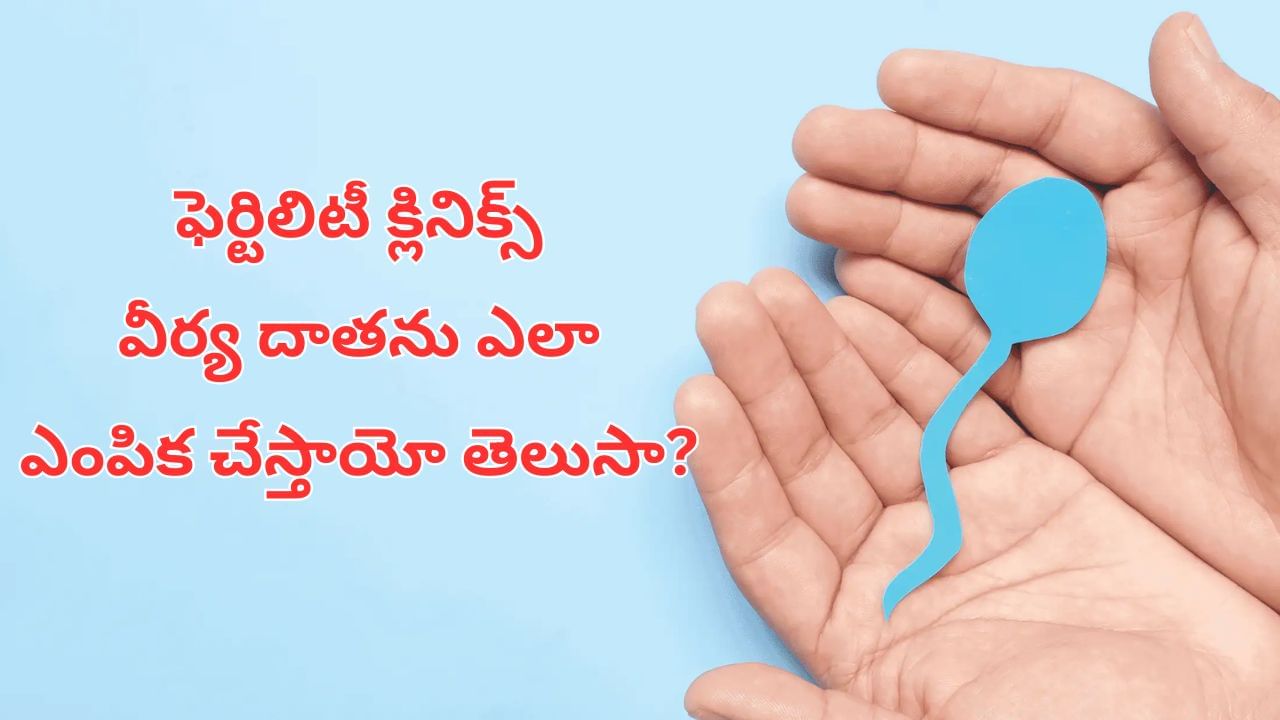 Sperm Donation: వీర్యాన్ని ఎవరు దానం చేయవచ్చు?.. దాతకు ఎంత డబ్బు వస్తుంది? Sperm Donation: వీర్యాన్ని ఎవరు దానం చేయవచ్చు?.. దాతకు ఎంత డబ్బు వస్తుంది?