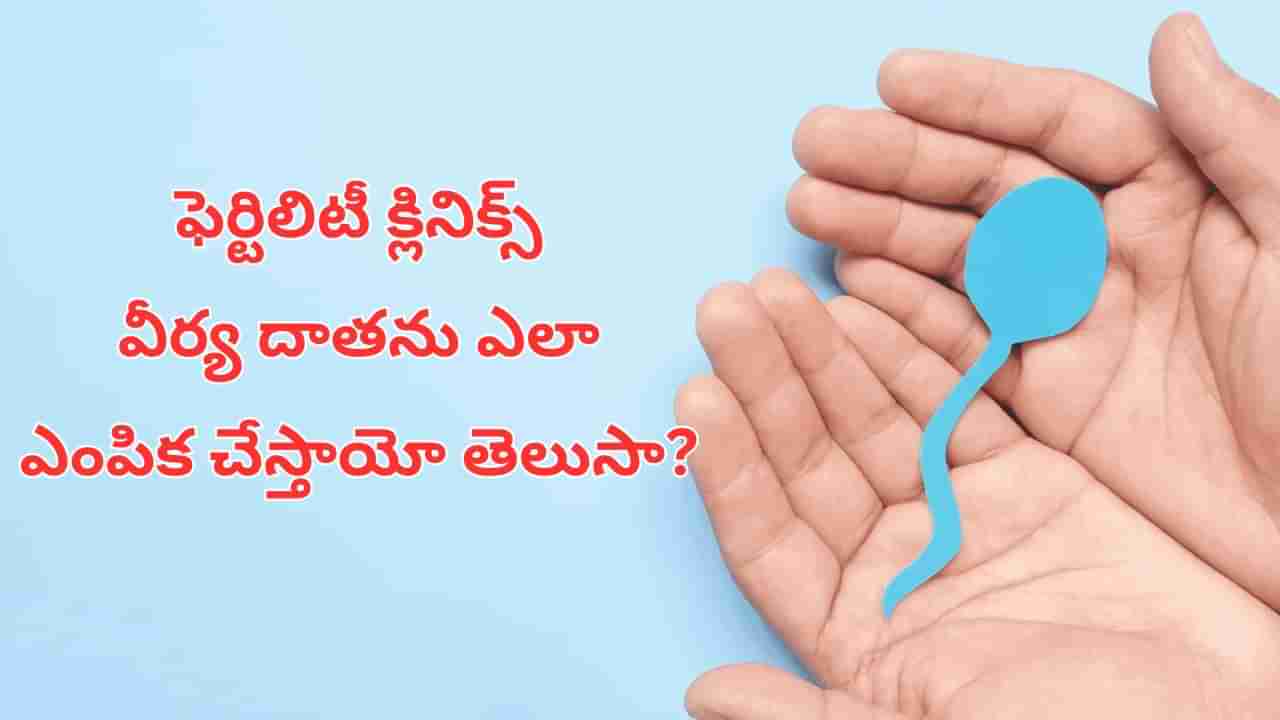 Sperm Donation: వీర్యాన్ని ఎవరు దానం చేయవచ్చు?.. దాతకు ఎంత డబ్బు వస్తుంది?