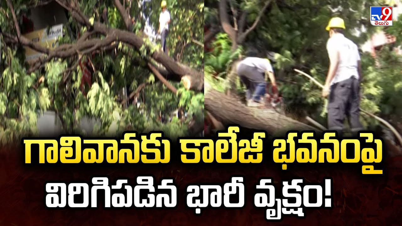 SR Nagar: గాలివానకు కాలేజీ భవనంపై విరిగిపడిన భారీ వృక్షం