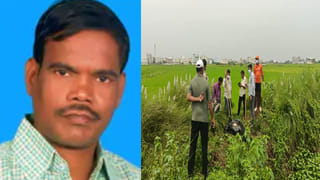 కోనసీమ కొబ్బరి చరిత్రలోనే అత్యధికంగా పెరిగిన ధరలు.. ఆనందంలో రైతన్నలు