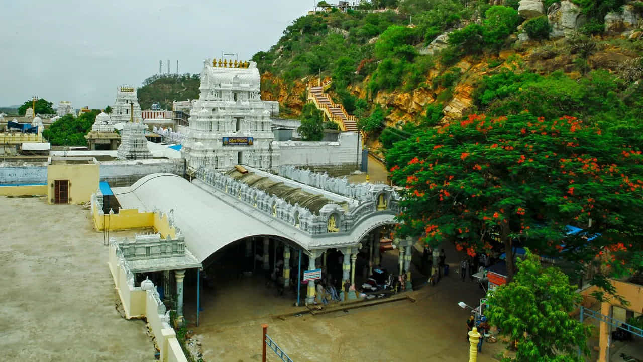 శ్రీకాళహస్తీశ్వర టెంపుల్ ఆలయం, ఆంధ్రప్రదేశ్: ఈ ఆలయం శివునికి అంకితం చేయబడింది. సర్ప దోషంలో కీలకమైన రాహు, కేతువుల సంబంధానికి ప్రసిద్ధి చెందింది. కాల సర్ప దోషం యొక్క ప్రభావాలను తగ్గించడానికి ఇక్కడ రాహు-కేతు సర్ప దోష నివారణ పూజ నిర్వహిస్తారు. ఇది ఆంధ్రప్రదేశ్ రాష్ట్రంలో శ్రీకాళహస్తిలో ఉంది. 