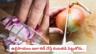 Blueberry: బ్లూ బెర్రీస్ ఎందుకంత ఖరీదు? వీటి ధరల వెనుక అసలు కారణాలివే