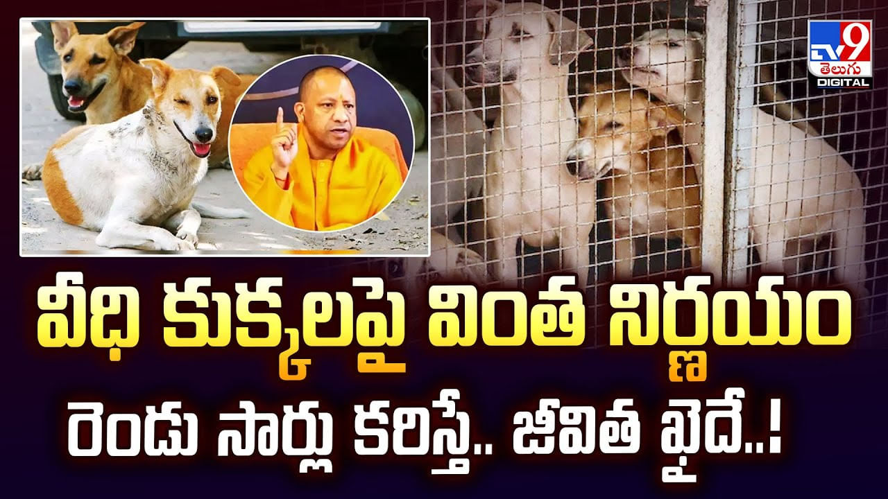 వీధి కుక్కలపై వింత నిర్ణయం రెండు సార్లు కరిస్తే.. జీవిత ఖైదే