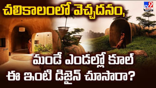 ఆ దీవిలో అడుగు పెడితే చంపేస్తారు!