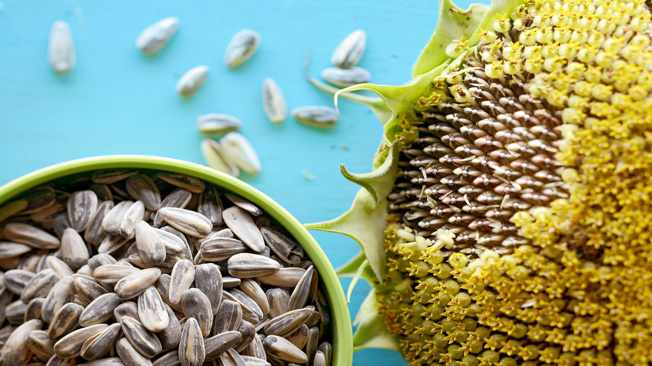 గుండెను ఆరోగ్యంగా ఉంచుతుంది - పొద్దుతిరుగుడు విత్తనాలలో ఉండే విటమిన్ E క్యాన్సర్ నిరోధకమే కాకుండా గుండెను బలంగా చేయడంలో కూడా చాలా శక్తివంతమైనది. ఇది గుండె నుండి చెడు కొలెస్ట్రాల్‌ను తొలగిస్తుందని, ట్రైగ్లిజరైడ్‌లను కూడా తగ్గిస్తుందని అధ్యయనాలు నిరూపించాయి. ఇది గుండెలో మంటను నివారిస్తుంది. 