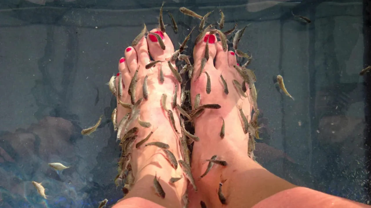 Doctor Fish: వామ్మో! ఈ చిన్న చేప ఎన్ని వ్యాధులను నయం చేయగలదో తెలిస్తే ...