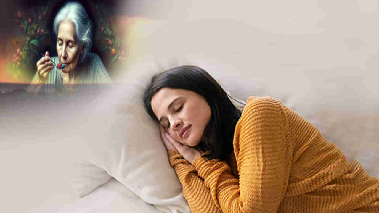 Swapna Shastra: కలలో పూర్వీకులు ఆహారం తింటున్నట్లు కనిపిస్తున్నారా.. ఆ కలకు అర్ధం ఏమిటంటే..