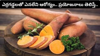 Baba Ramdev: గర్భాశయ స్పాండిలైటిస్‌కు యోగాతో చెక్.. రామ్‌దేవ్ బాబా చెప్పిన అద్భుత ఆసనాలు ఇవే..