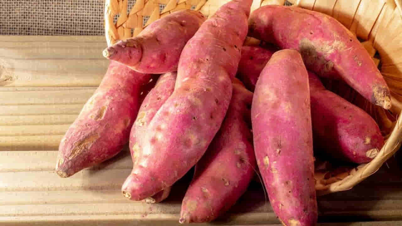 Diabetes: డయాబెటిస్ ఉన్నవారు స్వీట్‌ పొటాటో తింటే ఏమౌతుంది..  లాభమా, నష్టమా..?