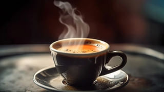 ఈ ఔషధ సాగుతో లాభాలు అధికం..! అతి తక్కువ వర్షంతో పండే ఎడారి పంట.. ఎకరాకు రూ.1.25లక్షల లాభం