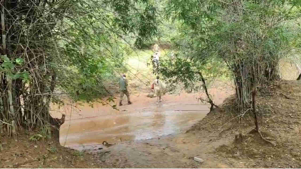 Telangana: పశువులను మేతకు తీసుకెళ్లిన భార్యాభర్తలు.. ఎంతకూ ఇంటికి రాకపోగా.. వెళ్లి చూసేసరికి