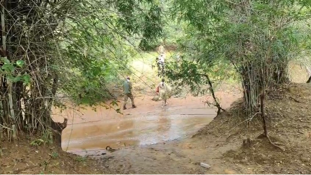 Telangana: పశువులను మేతకు తీసుకెళ్లిన భార్యాభర్తలు.. ఎంతకూ ఇంటికి రాకపోగా.. వెళ్లి చూసేసరికి