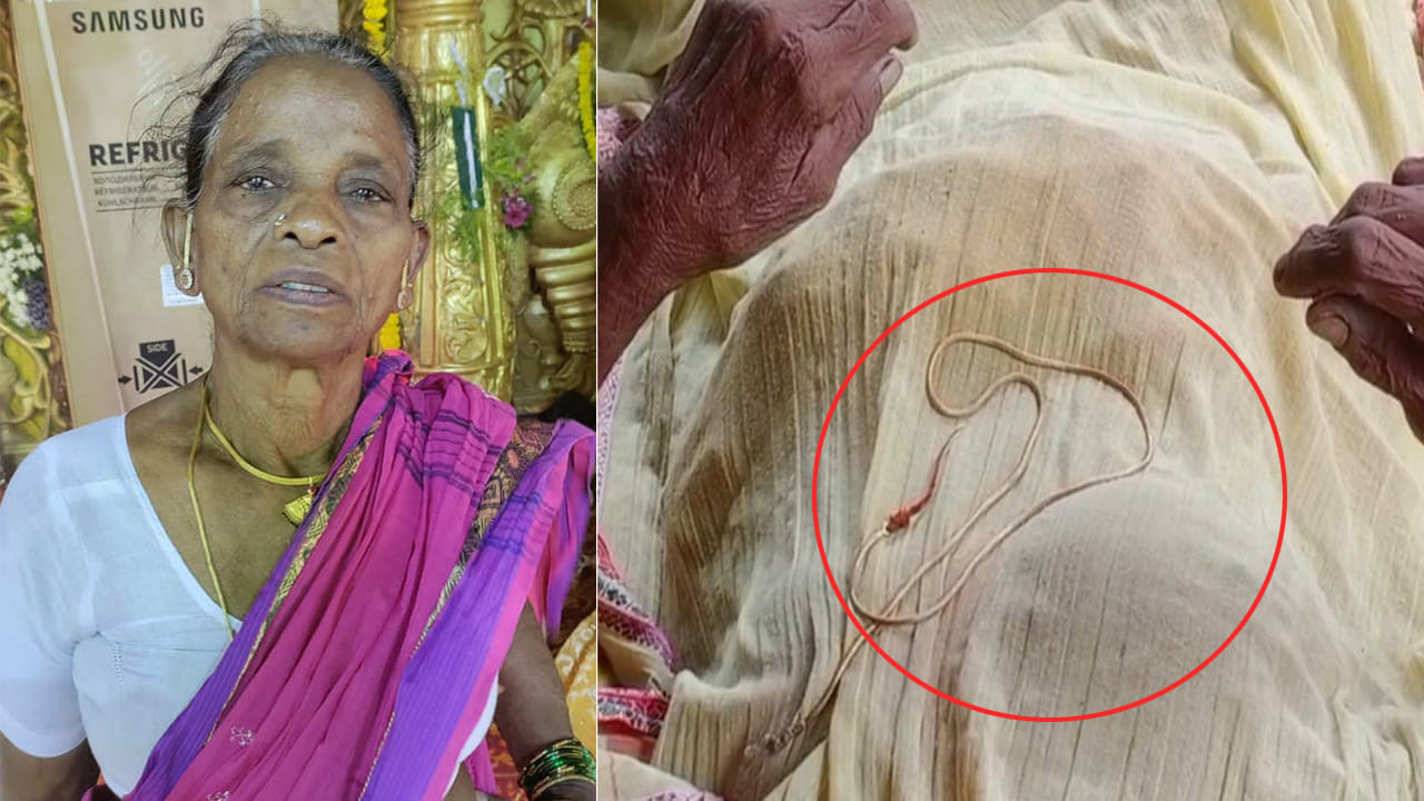 Telangana News: మహా ఘటికురాలు.. దొంగలకు చుక్కలు చూపించిన వృద్ధురాలు.. చివరకు ఏం జరిగిందంటే..