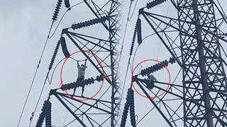 Andhra: వాన వాన వల్లప్పా.. ఏపీలోని ఈ జిల్లాలకు భారీ రెయిన్ అలెర్ట్.. హెచ్చరికలు ఇవిగో