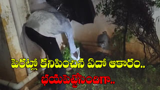 సాగు కోసం సాహసం.. రైతన్న కష్టం చూస్తే కళ్ళు చెమ్మగిల్లాల్సిందే