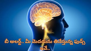 Seasonal Depression : సీజన్ మారితే వచ్చే డిప్రెషన్ గురించి తెలుసా?