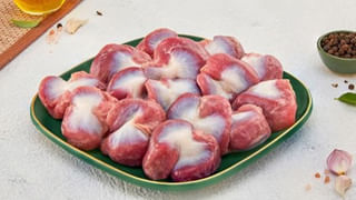 Snake Vs Mongoose: అబ్బో! పెద్ద కథే.. పామును ముంగిస ఎందుకంత ద్వేషిస్తుందో తెలుసా?