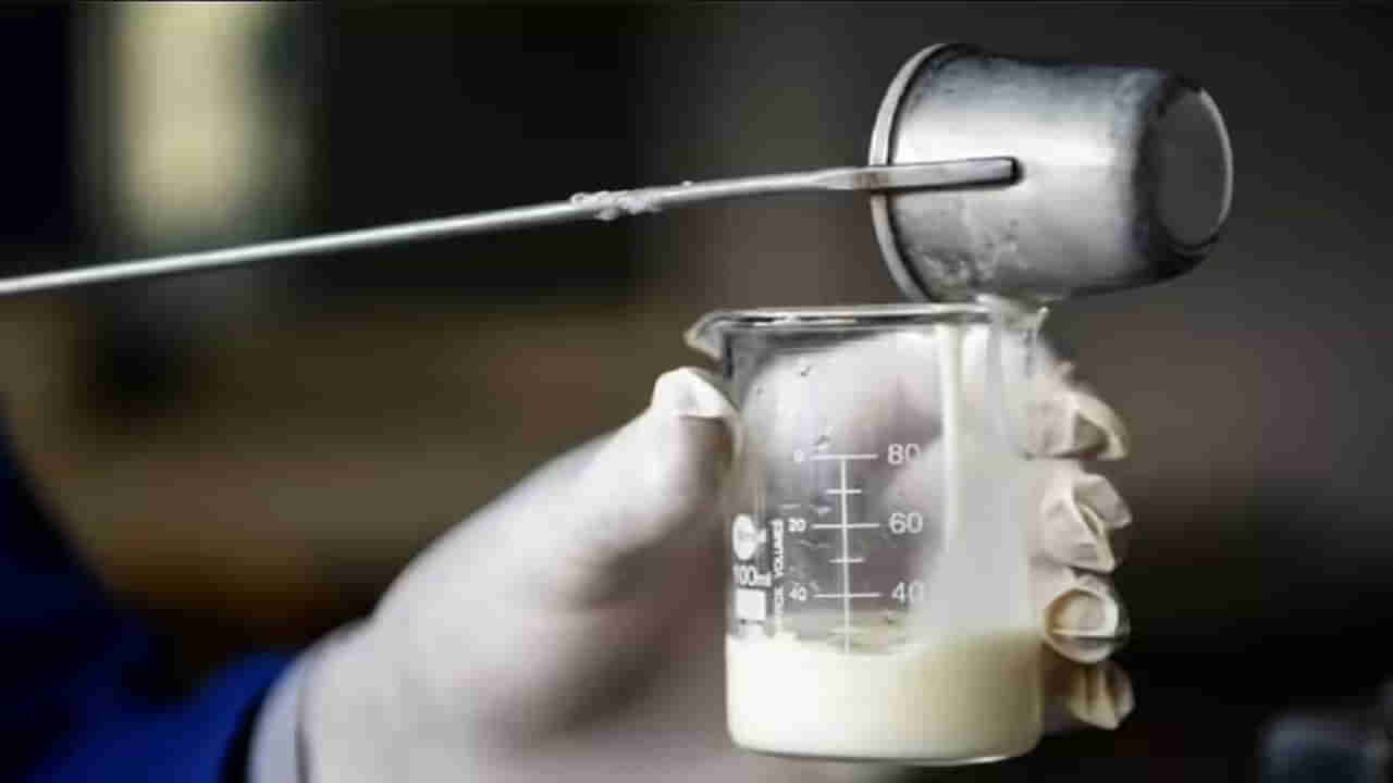 Expensive Milk: ఈ పాల ధర లీటరుకు రూ. 7 వేలు.. ఎందుకంత ఖరీదో తెలుసా?