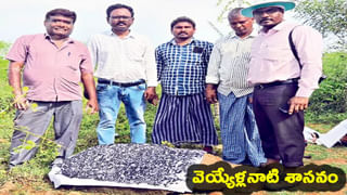 TTD Brahmotsavam: వైభవంగా తిరుమల శ్రీవారి బ్రహ్మోత్సవాలు.. రెండో రోజు వాహన సేవలు