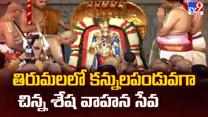 తిరుమలలో కన్నులపండువగా చిన్న శేష వాహన సేవ
