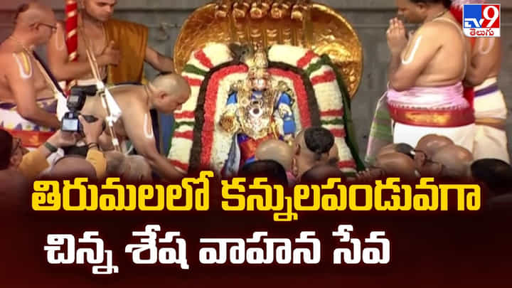 తిరుమలలో కన్నులపండువగా చిన్న శేష వాహన సేవ తిరుమలలో కన్నులపండువగా చిన్న శేష వాహన సేవ