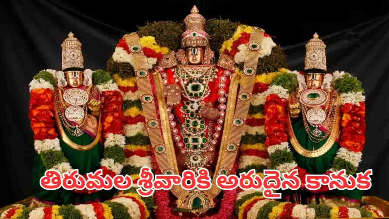 Tirumala: తిరుమల శ్రీవారికి అరుదైన కానుక.. విలువ ఎంతో తెలుసా?