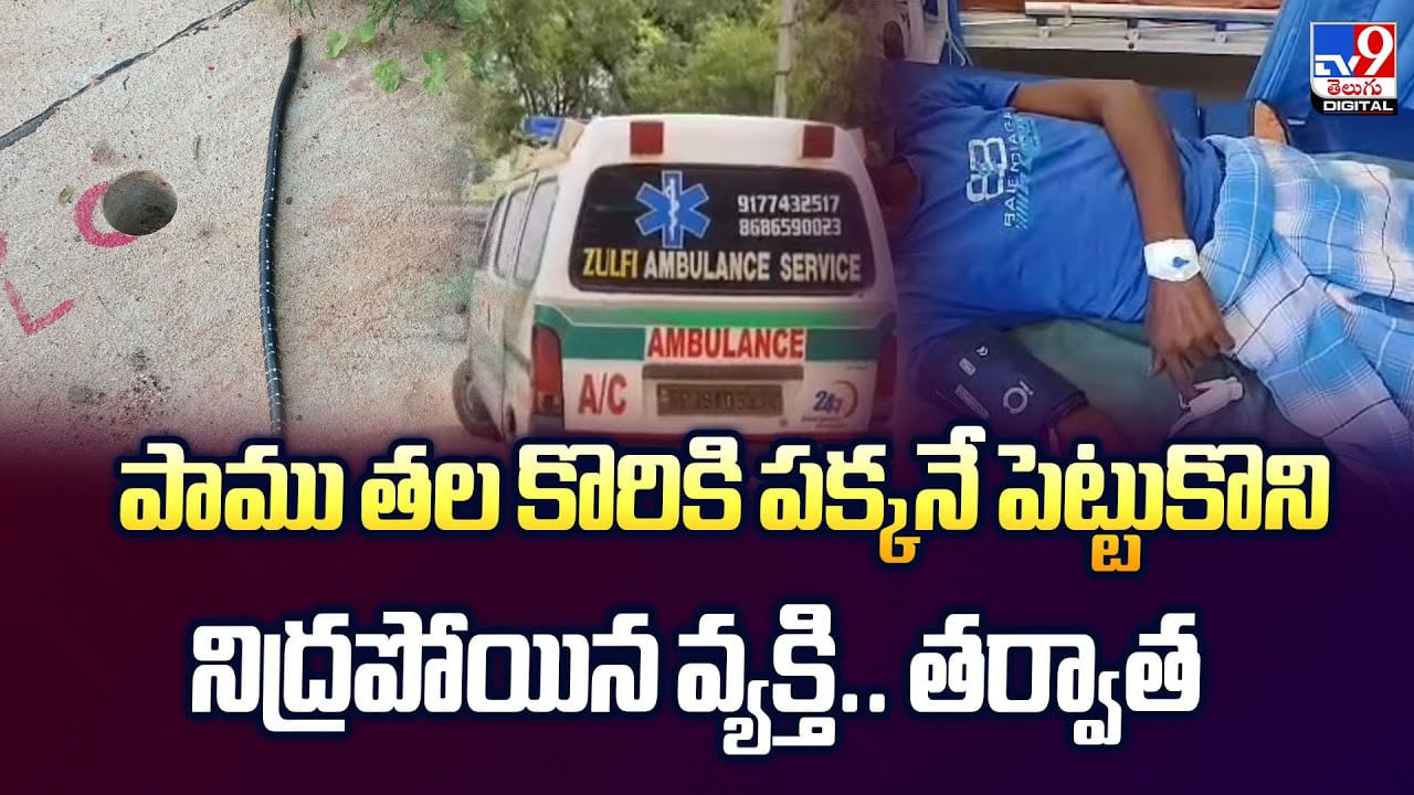 పాము తల కొరికి పక్కనే పెట్టుకొని నిద్రపోయిన వ్యక్తి.. తర్వాత పాము తల కొరికి పక్కనే పెట్టుకొని నిద్రపోయిన వ్యక్తి.. తర్వాత