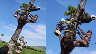 ఆకస్మిక తనిఖీతో హల్‌చల్..  గరిటే చేత పట్టి విద్యార్థులకు భోజనం వండిన జిల్లా కలెక్టర్..!