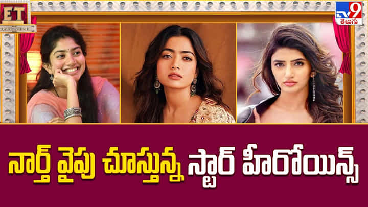స్టార్ హీరోయిన్స్ చూపు కూడా నార్త్ వైపే.. కారణం అదేనా స్టార్ హీరోయిన్స్ చూపు కూడా నార్త్ వైపే.. కారణం అదేనా