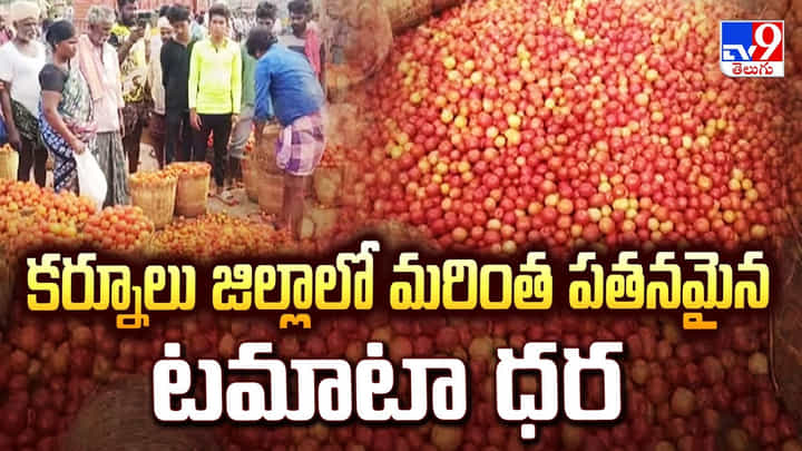 కర్నూలు జిల్లాలో మరింత పతనమైన టమాటా ధర కర్నూలు జిల్లాలో మరింత పతనమైన టమాటా ధర