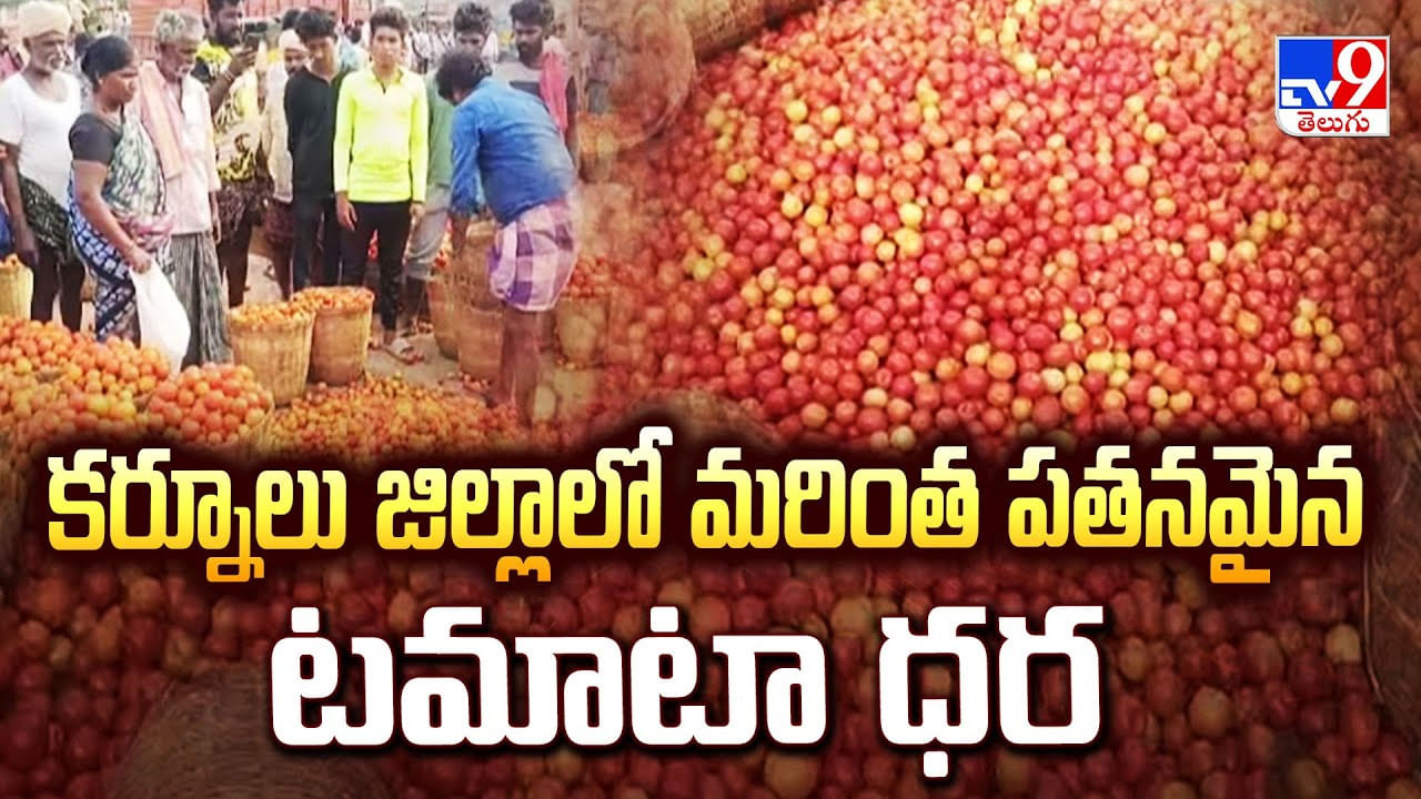 కర్నూలు జిల్లాలో మరింత పతనమైన టమాటా ధర