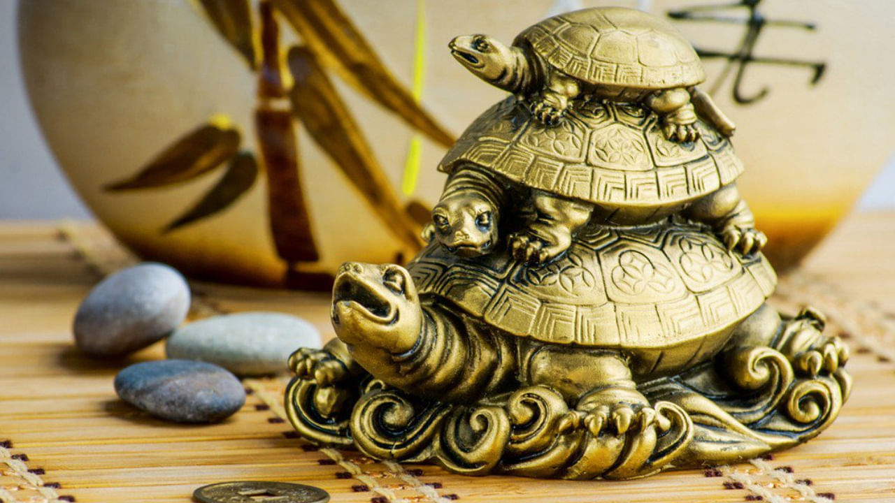 Tortoise Vastu Tips